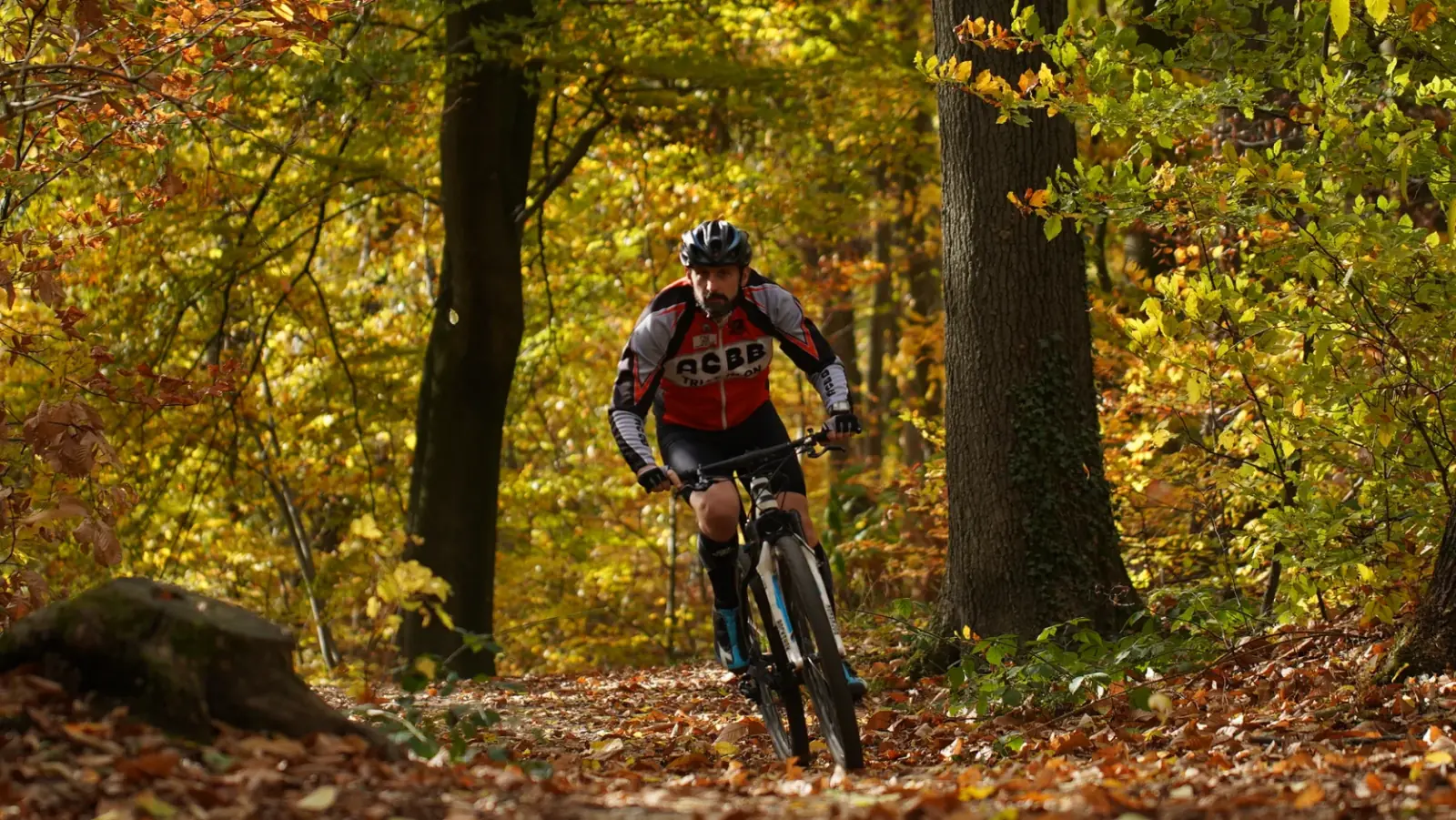 VTT en forêt de Meudon